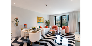Popsicle Collection